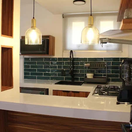 Coliving Roma Norte Loft Canario