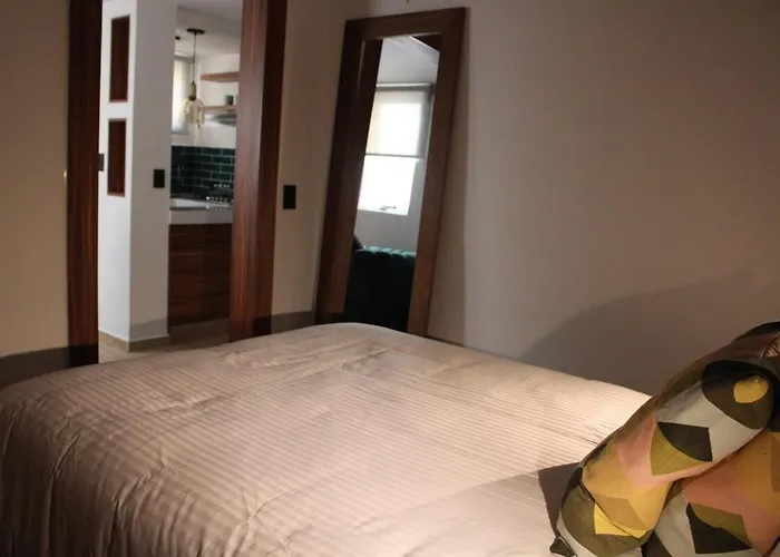 Apartamento Coliving Roma Norte Loft Canario México DF